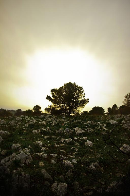 Casa Greta Leilighet Monopoli Rom bilde